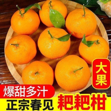 四川春见耙耙柑，市场货，电商货，越南货，商超货等一手货源