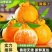 四川耙耙柑春见柑桔，多汁爽口，对接全国市场，诚信经营