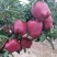 天水高山。高海拔花牛。肉汁细腻。汁液多。产地直发。大量有