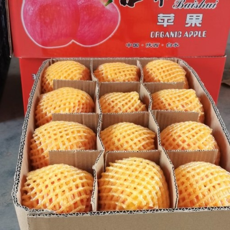 陕西，洛川，白水，早富士