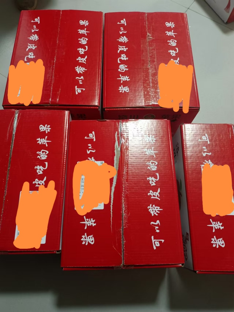 陕西，洛川，白水，早富士