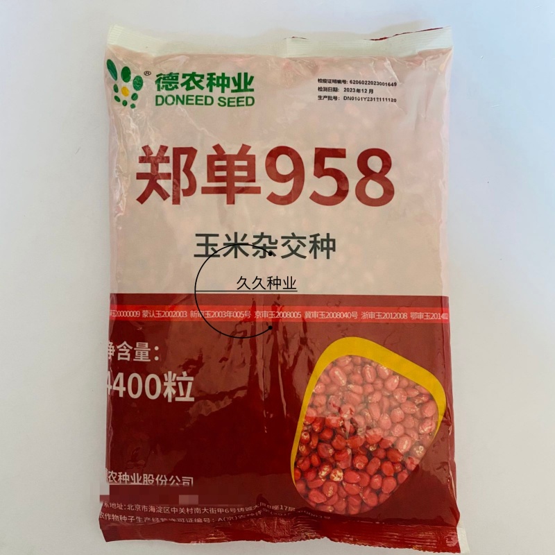郑单958国审高产玉米种子大全大棒白轴抗倒抗旱矮杆苞谷