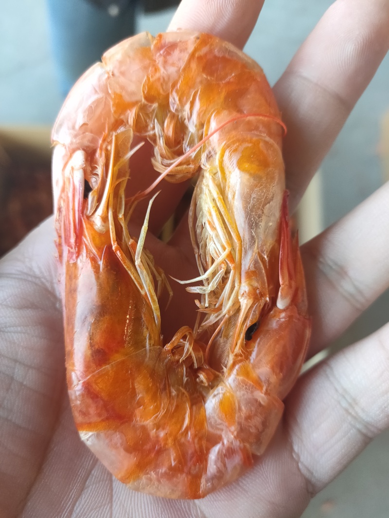 南美白对虾，烤虾干，厂家直销，大量现货，资质齐全