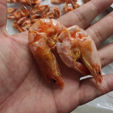 南美白对虾，烤虾干，厂家直销，大量现货，资质齐全