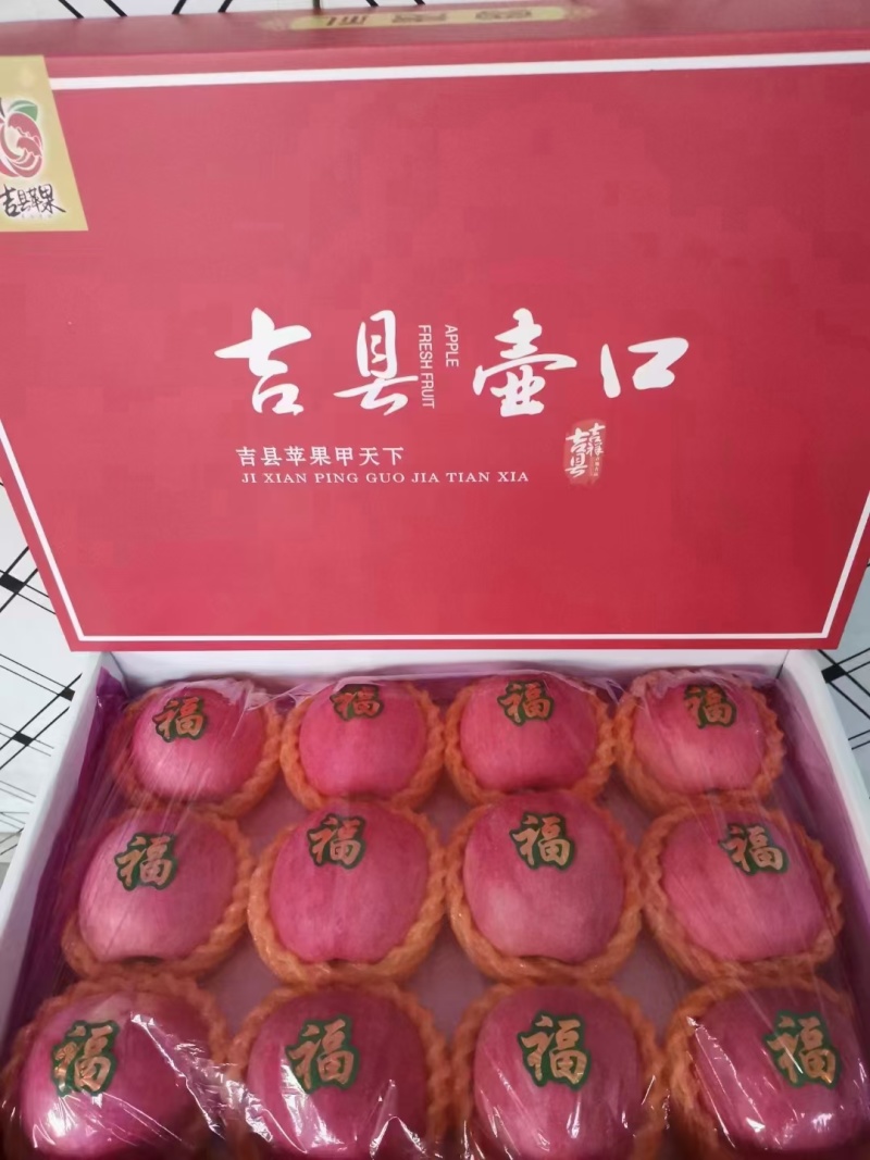 吉县红富士苹果需要了打电话
