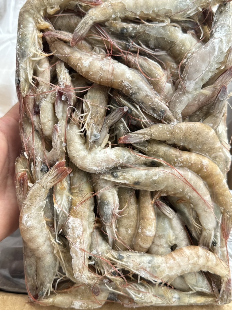 活冻基围虾南美白对虾适合快餐店大排档捞汁海鲜