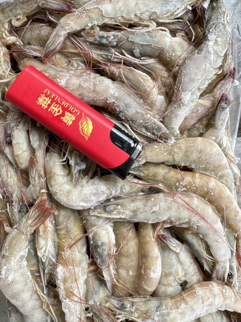 活冻基围虾南美白对虾适合快餐店大排档捞汁海鲜