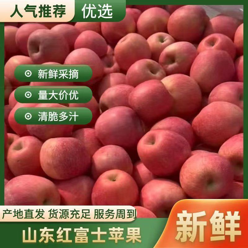 山东红富士苹果大量上市，口感脆甜，颜色好支持电商保质保量