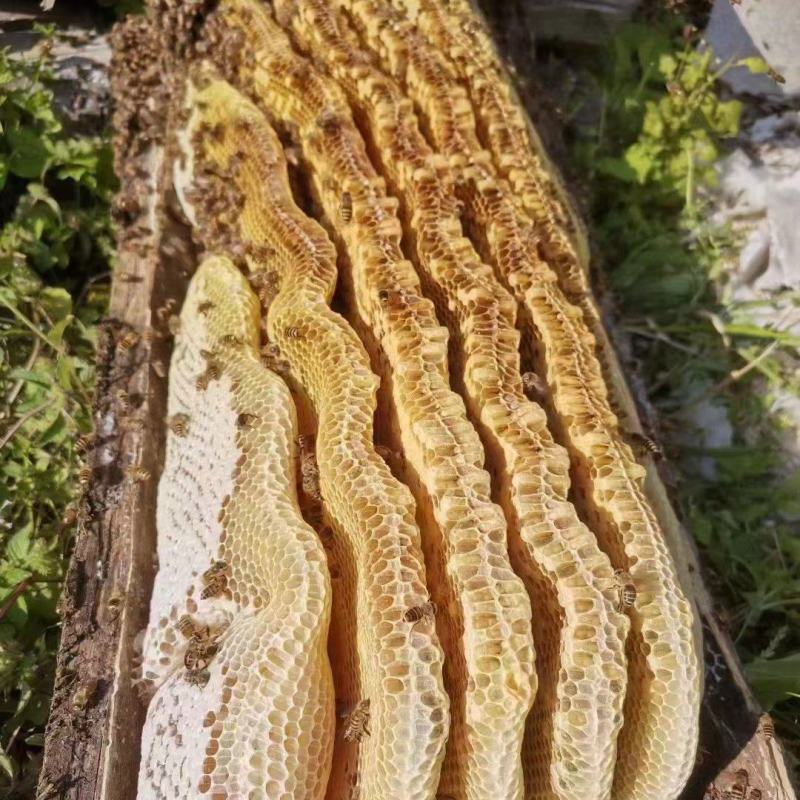 中华蜂蜜