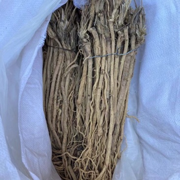 防风整条防风整条个子批发剪头剪尾的都有