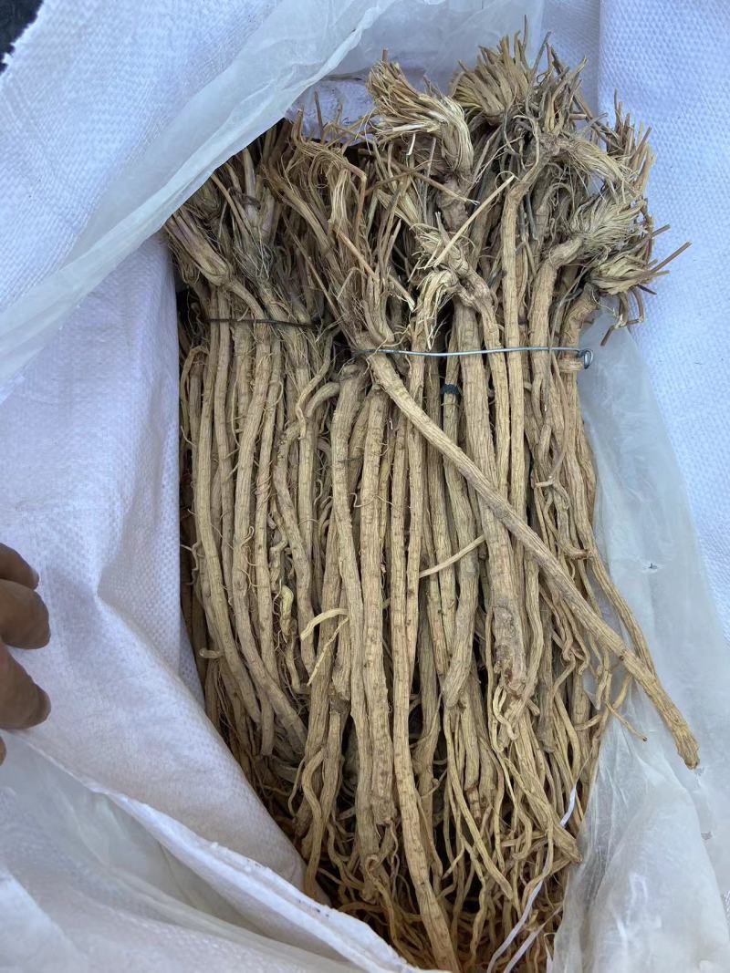 防风整条防风整条个子批发剪头剪尾的都有