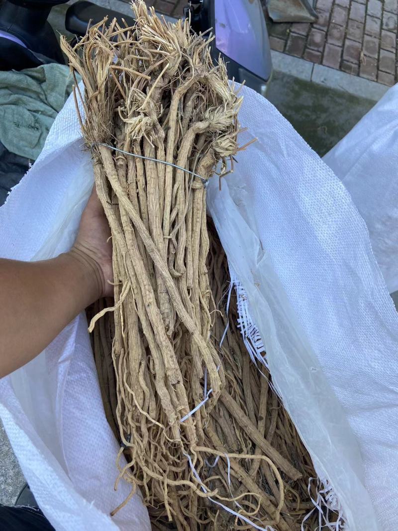 防风整条防风整条个子批发剪头剪尾的都有