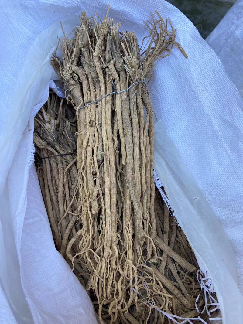防风整条防风整条个子批发剪头剪尾的都有