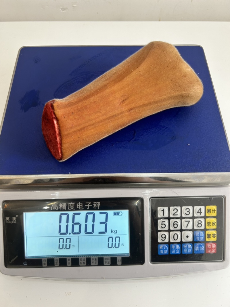 吉林鹿乡梅花鹿二杠主干头全蜡头营养丰富现货供应