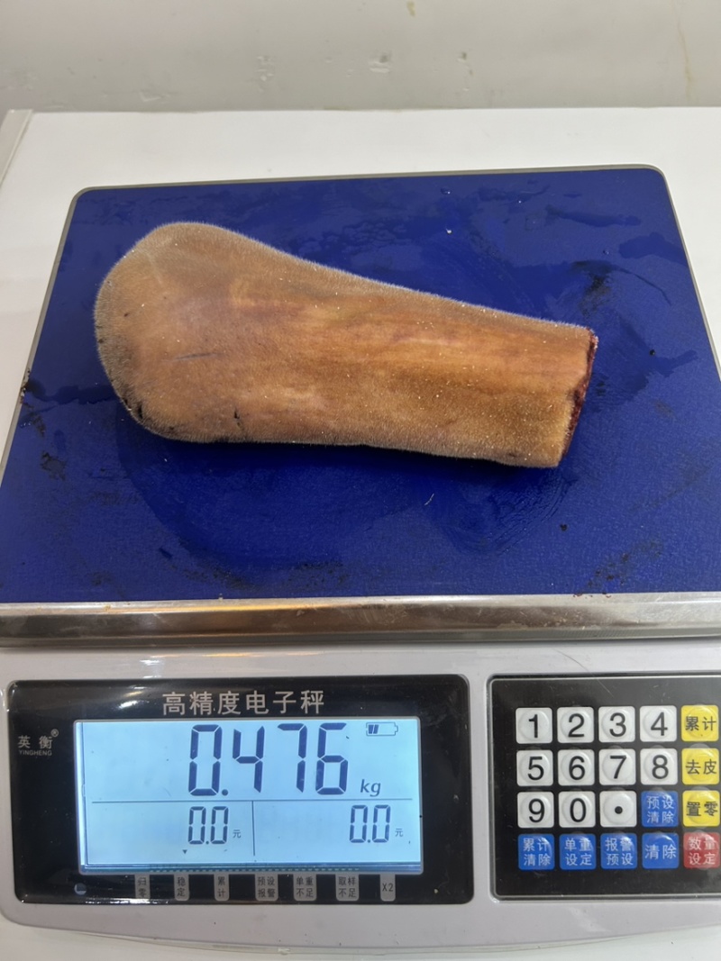 吉林鹿乡梅花鹿二杠主干头全蜡头营养丰富现货供应