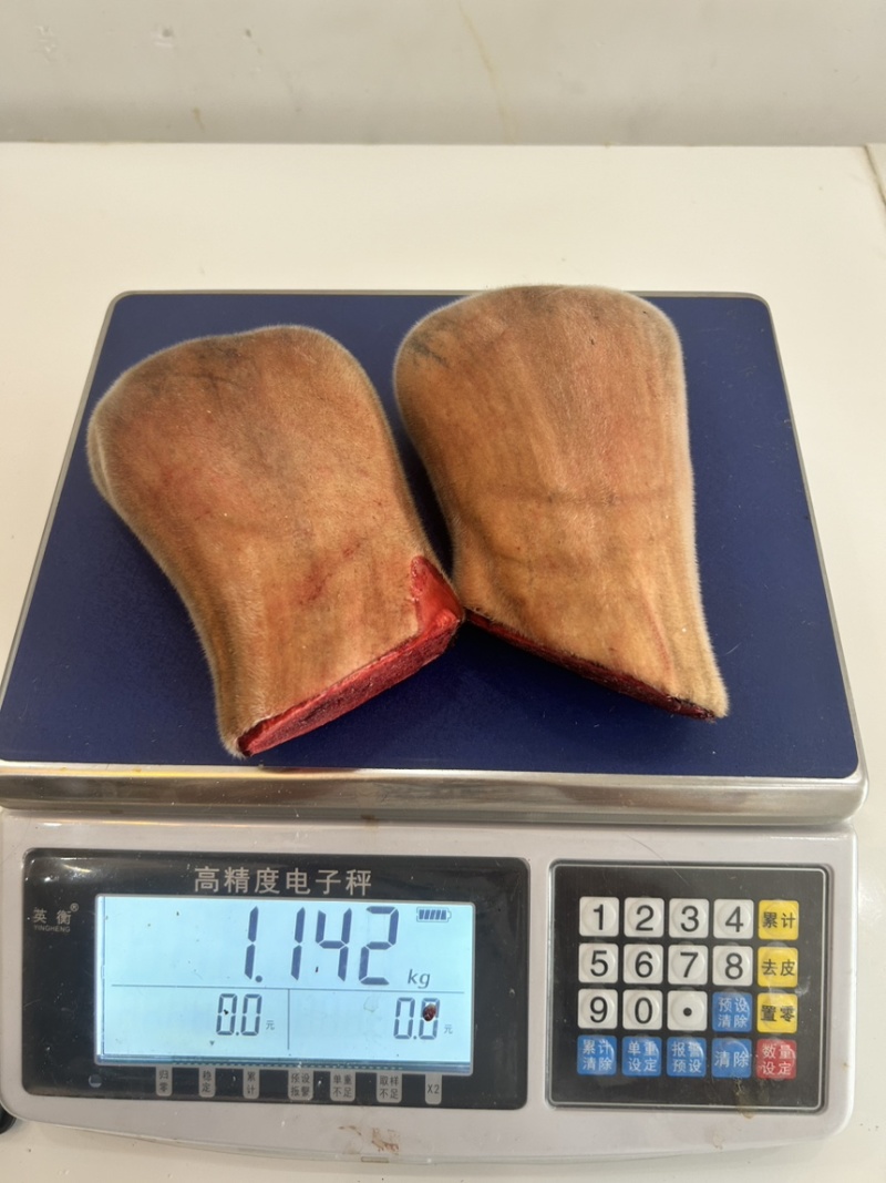吉林鹿乡梅花鹿二杠主干头全蜡头营养丰富现货供应