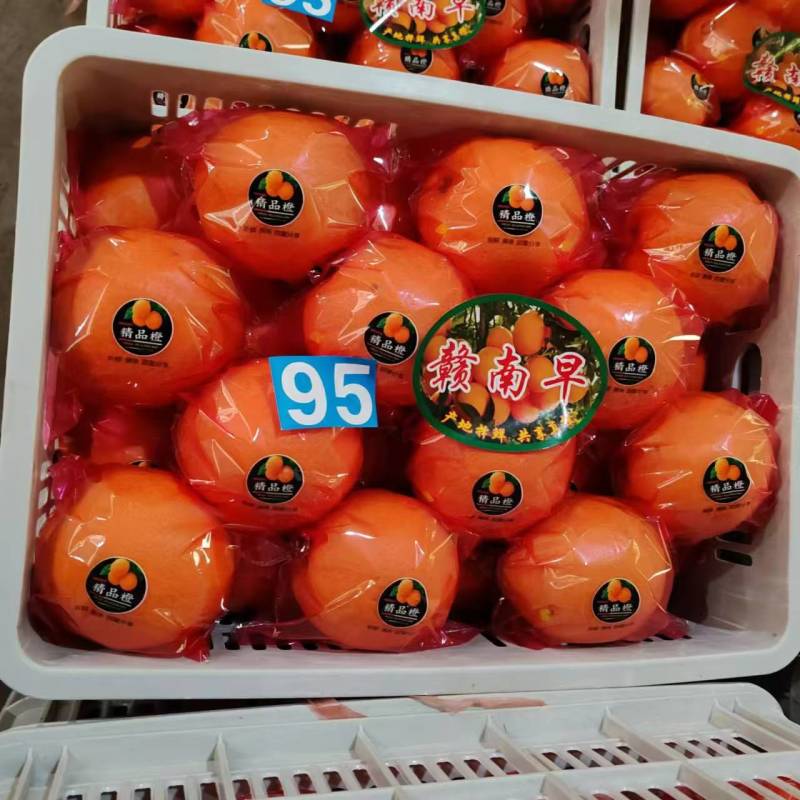 赣南早迎中秋，己上市，货到深州双井开批