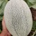 [可视频看货[新疆西州蜜大量上市个大糖度高包甜欢迎来电