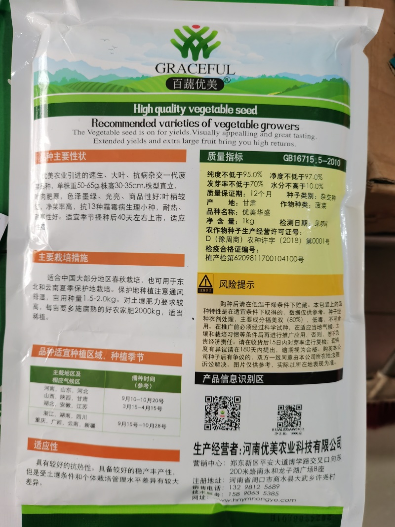 优美华盛耐寒菠菜种子一代杂交墨绿叶叶厚