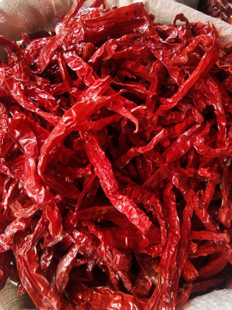 新货二荆条