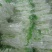 甘肃定西宽粉粉条韭叶粉