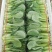 精品泡沫箱之“”油菜”
