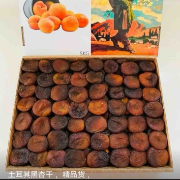 杏干土耳其杏干无核杏干精品杏干进口杏干电商批发