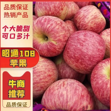 云南昭通108苹果,大量上市对接电商货市场货越南货工厂货