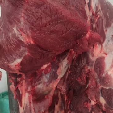 新鲜牛肉精修无油保证纯干一手货源