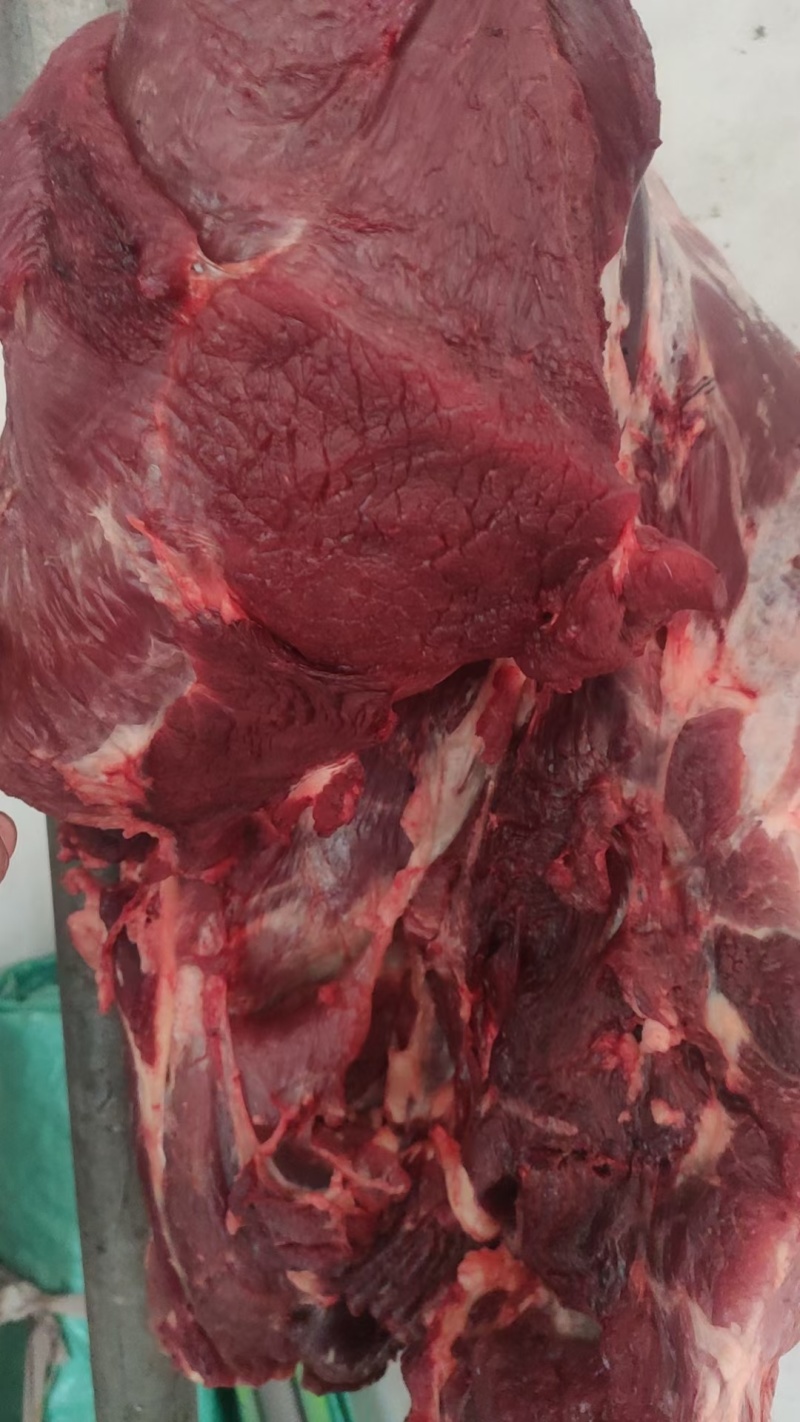 新鲜牛肉精修无油保证纯干一手货源