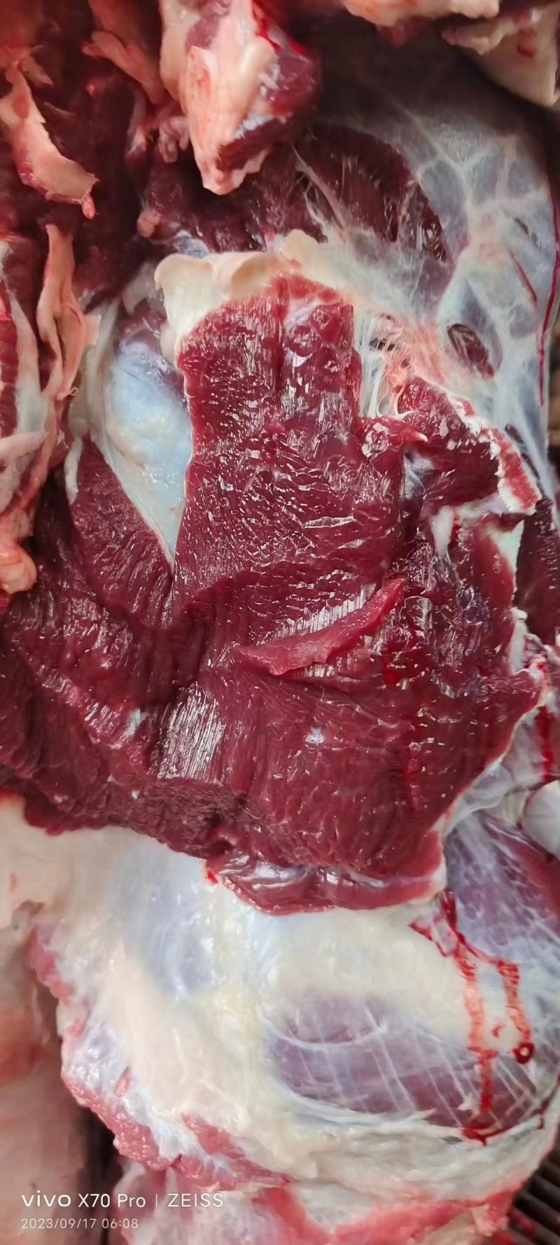 新鲜牛肉精修无油保证纯干一手货源