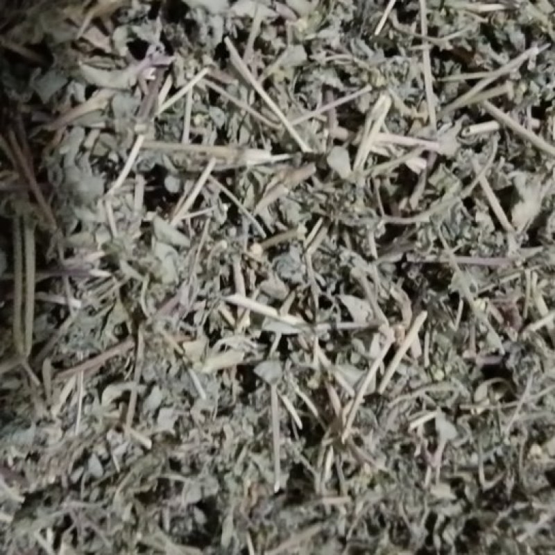 地锦草片