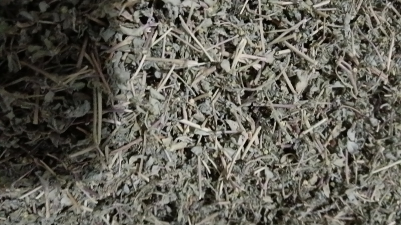 地锦草片