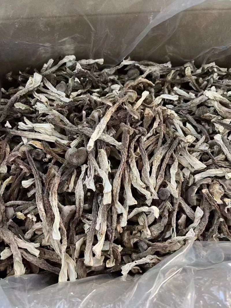 鹿茸菇跑江湖摆地摊赶集展销会厂家一手货源产地