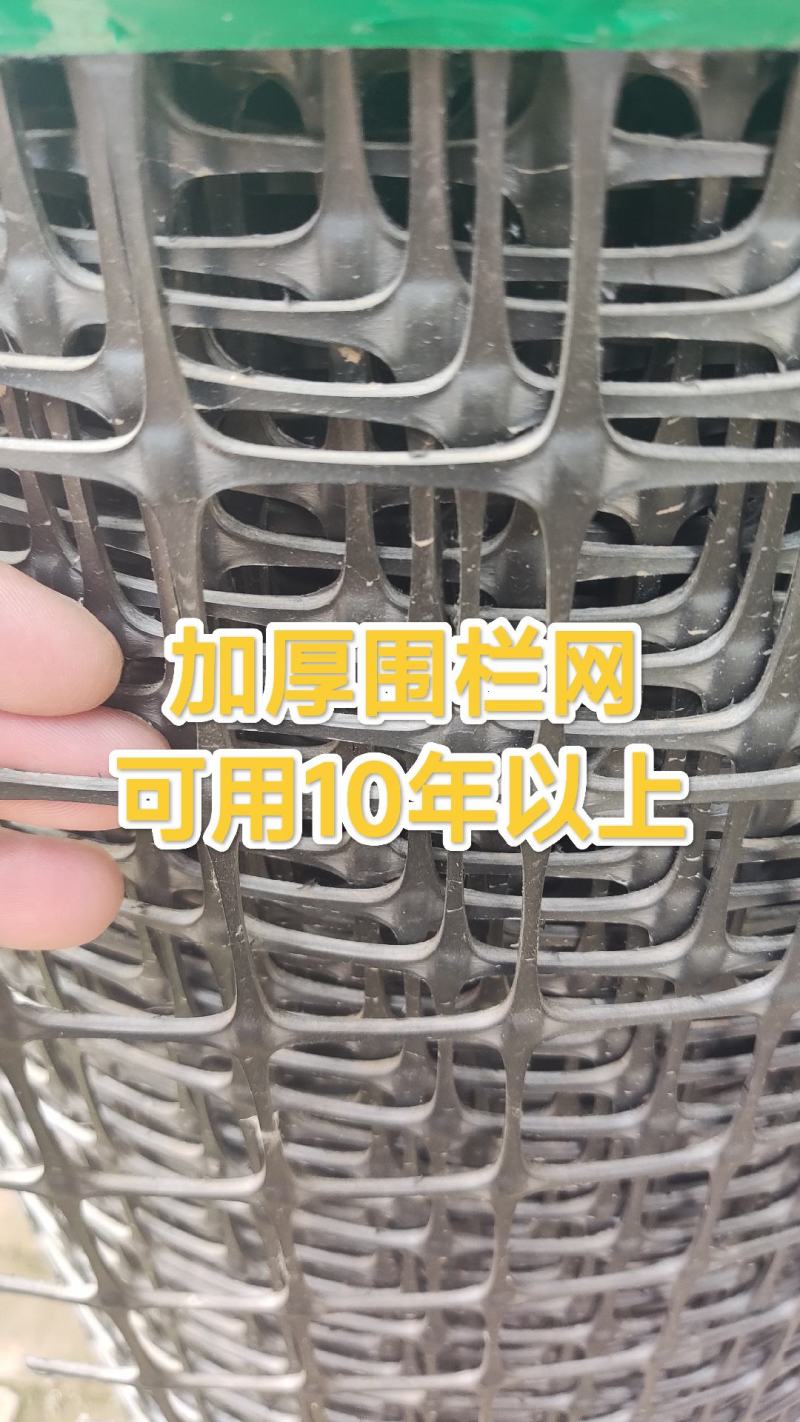 包邮加厚围栏网养殖围栏网鱼塘大棚防兜水网拦鸡网玉米网