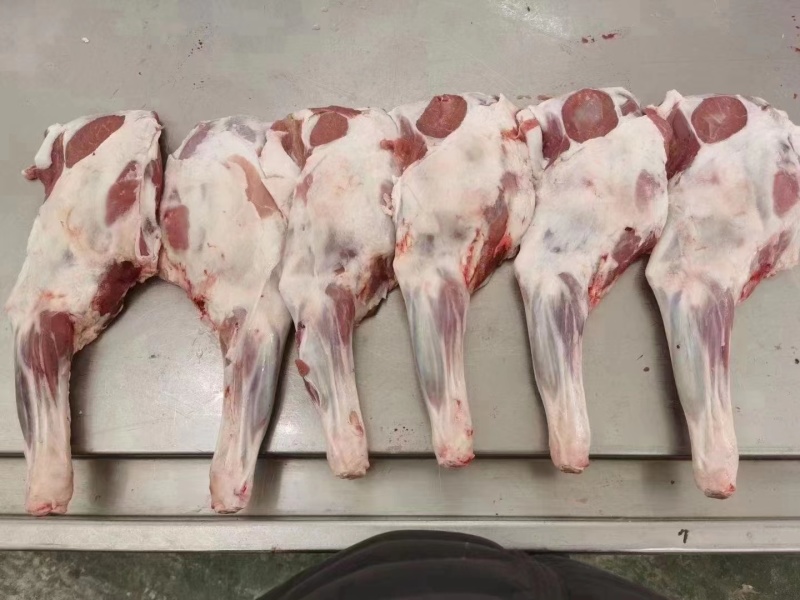 羊腿羔羊腿精修无油，纯干无水货源充足