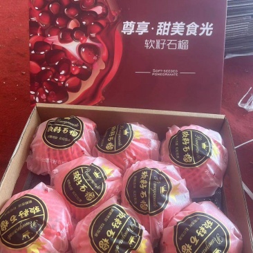 送礼必备突尼斯软籽石榴
