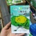 黄心乌种子塌菜种子乌塌菜菊花菜种子黄心菜种子淮南特色菜