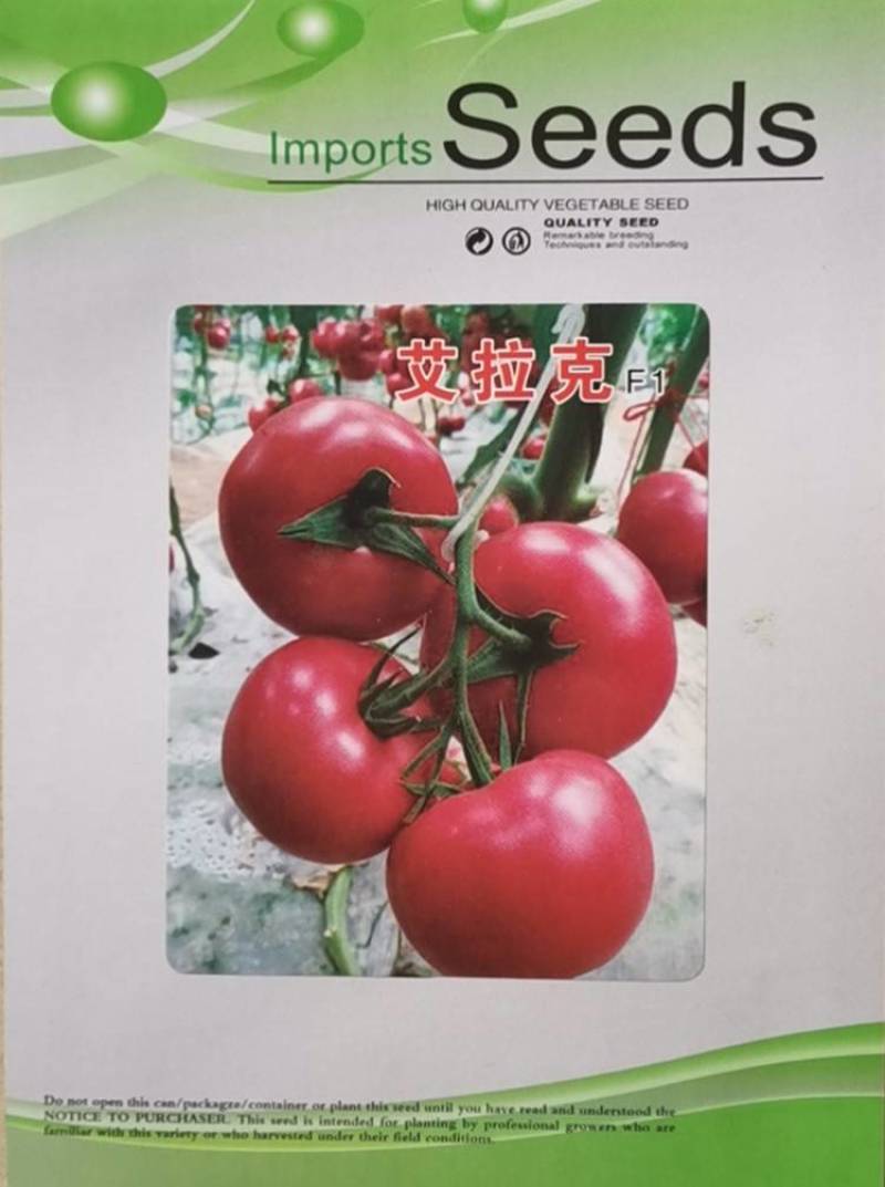 西红柿种子抗死棵大果早熟抗耐裂抗线虫抗重茬高产粉果