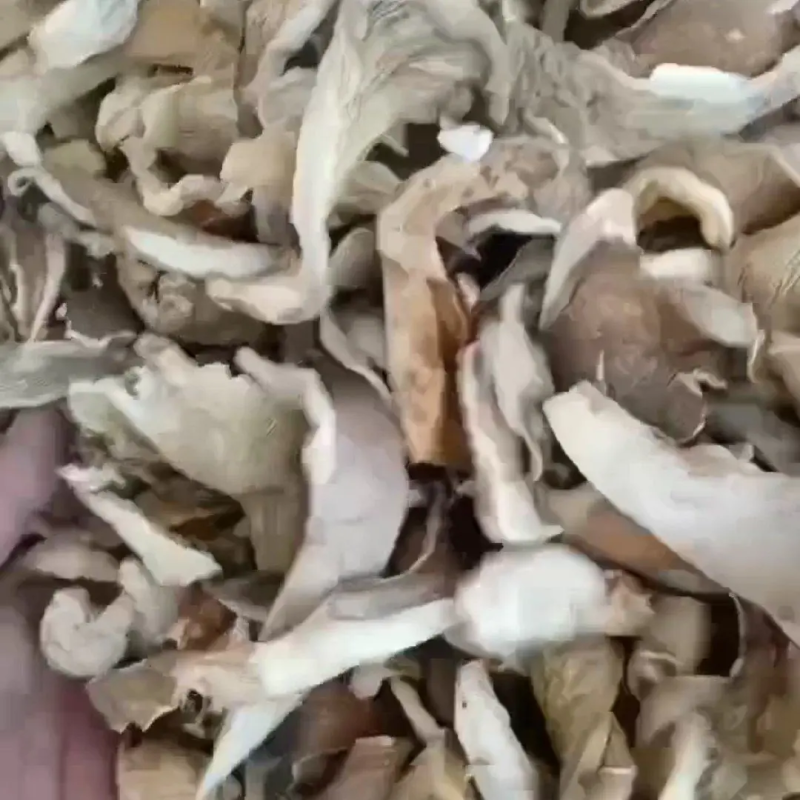 东北干平菇，自然晾晒，优质平菇丝，大量现货供应，一手货源