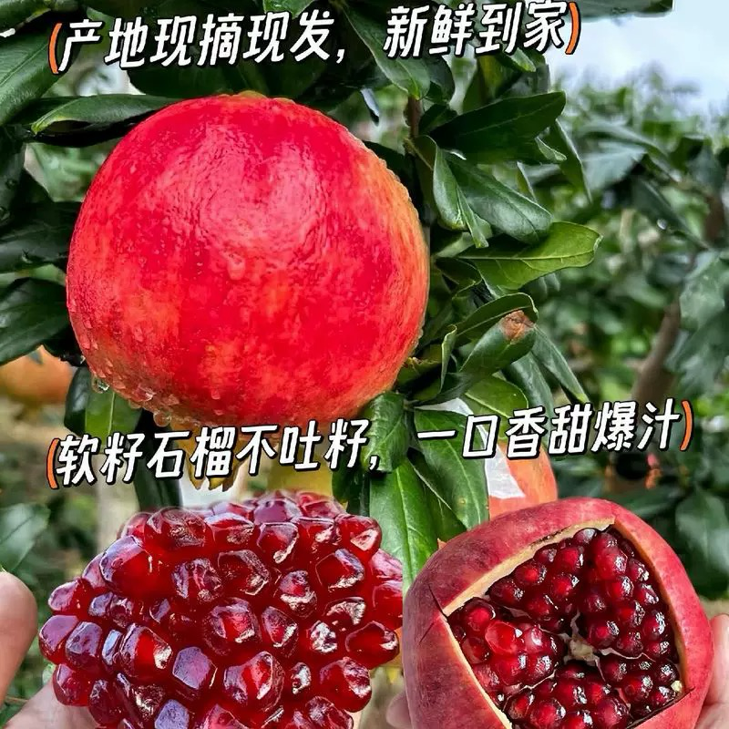 云南软籽石榴产地批发一件代发欢迎各位老板选购