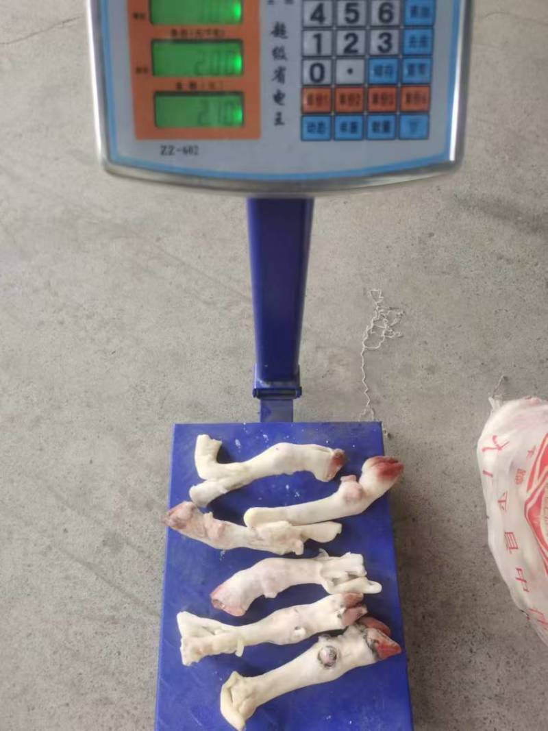 羊蹄，羊蹄子，量大质优，一手货源支持全国冷链发货
