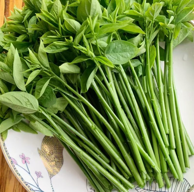 树仔菜自产自销产地直发
