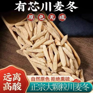 四川三台县麦冬特级无硫天然麦冬,产地直销,可零售,批发!