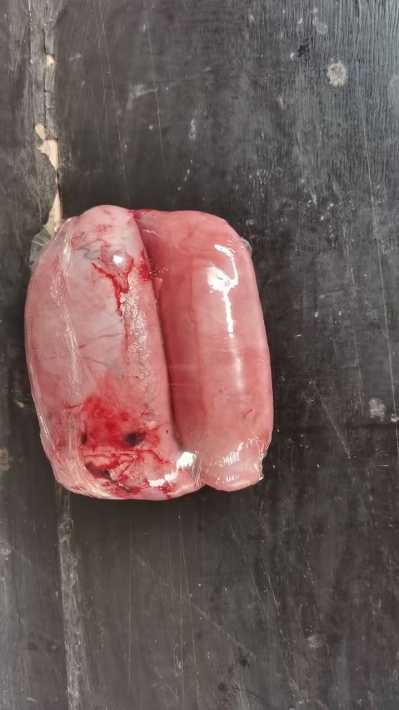牛宝，精修牛鞭宝牛睾丸一手产地货源，全国冷链发货
