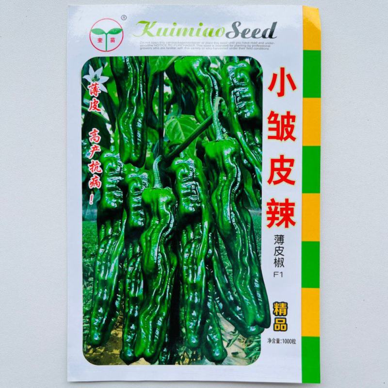 奎苗小皱皮辣薄皮辣椒种子早熟皱皱辣深绿色辣味香浓抗病春秋
