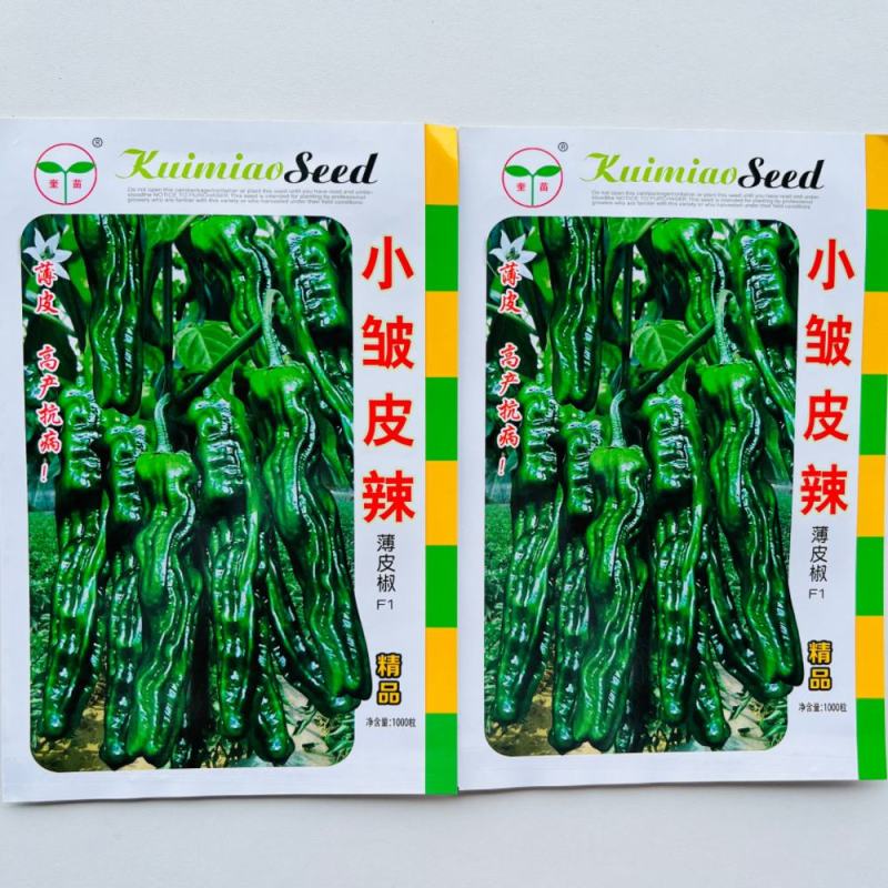 奎苗小皱皮辣薄皮辣椒种子早熟皱皱辣深绿色辣味香浓抗病春秋