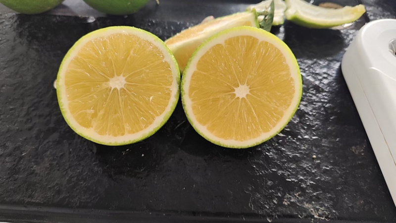 冰糖橙