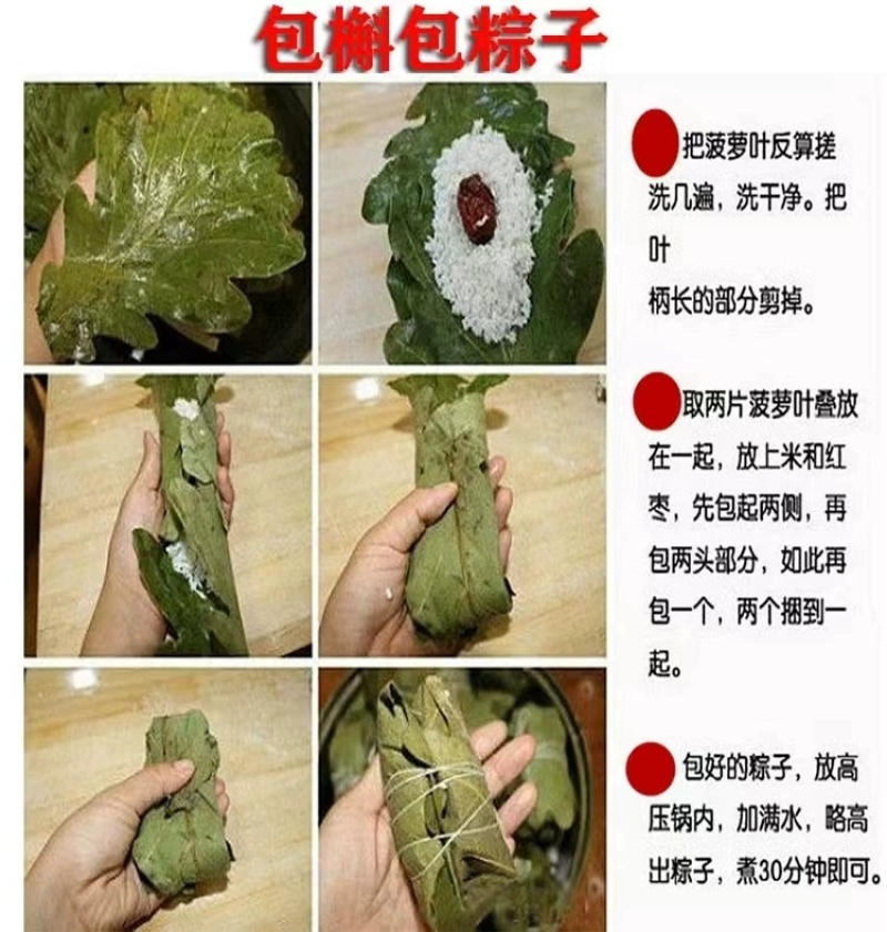 槲叶大粽叶包粽子菠萝叶伯乐叶饼晾干粽叶家用大号***