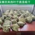 槲叶大粽叶包粽子菠萝叶伯乐叶饼晾干粽叶家用大号***